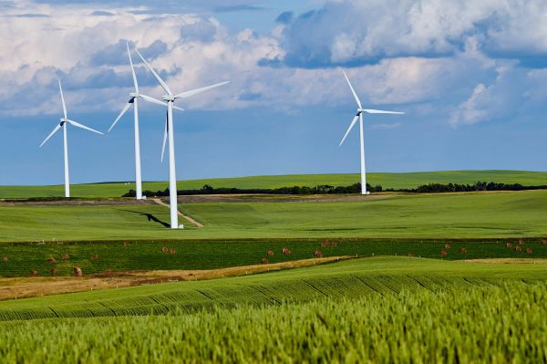 Énergie Éolienne : Révolution et Enjeux pour le Réseau Électrique